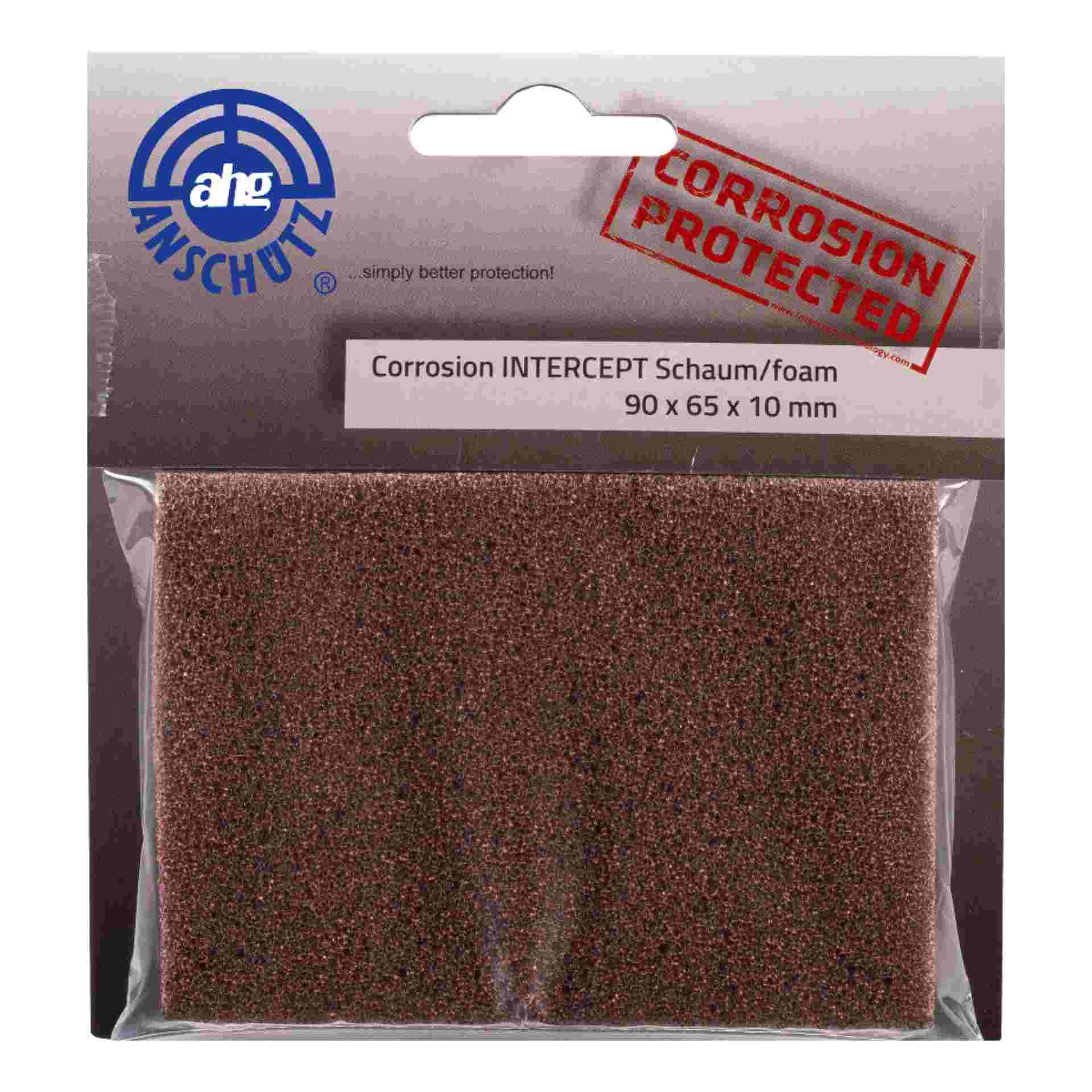 Corrosion Intercept for bags and cases